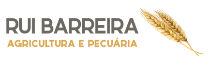 Rui Barreira Logo